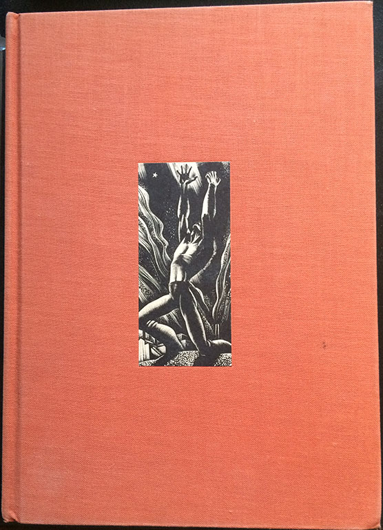 Image For Wild Pilgrimage A Novel In Woodcuts Image For Wild Pilgrimage A Novel In Woodcuts