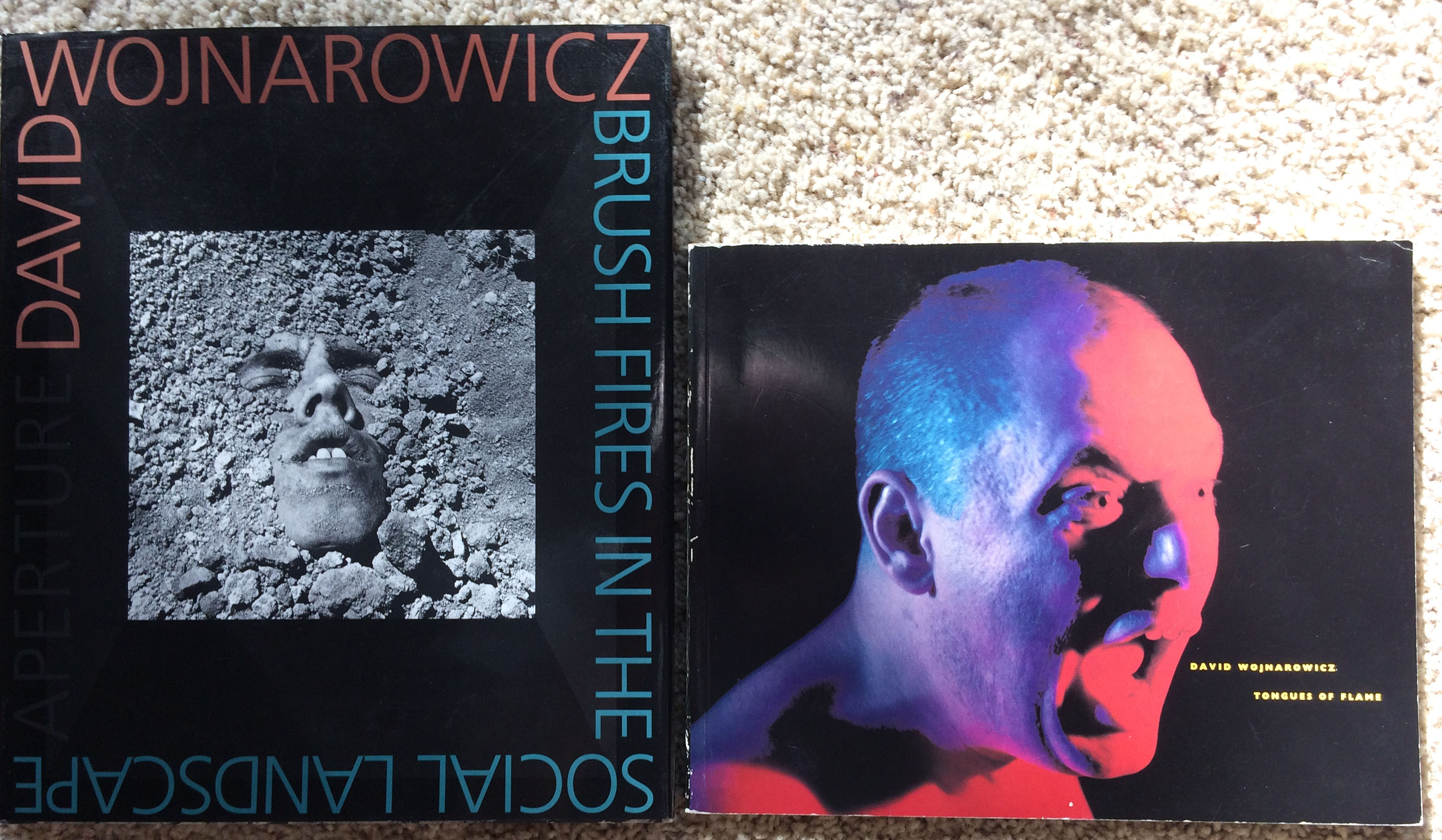 Image for (Two Items): Tongues of Flame; Brush Fires in the Social Landscape.