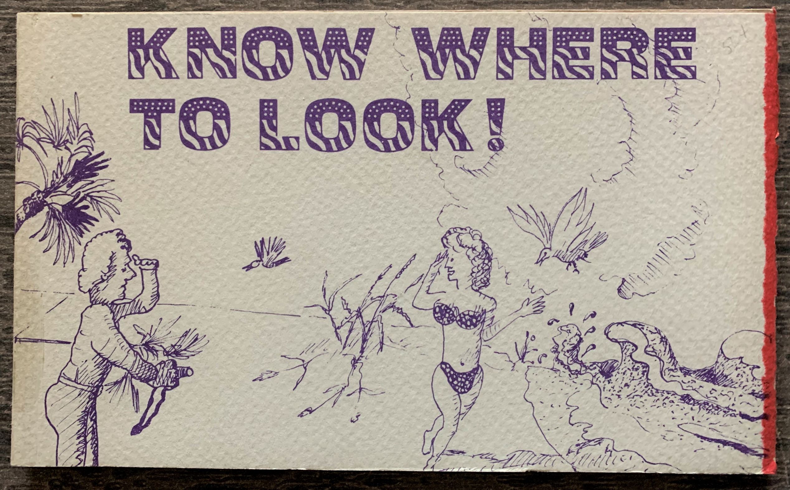 Image for Know Where to Look.