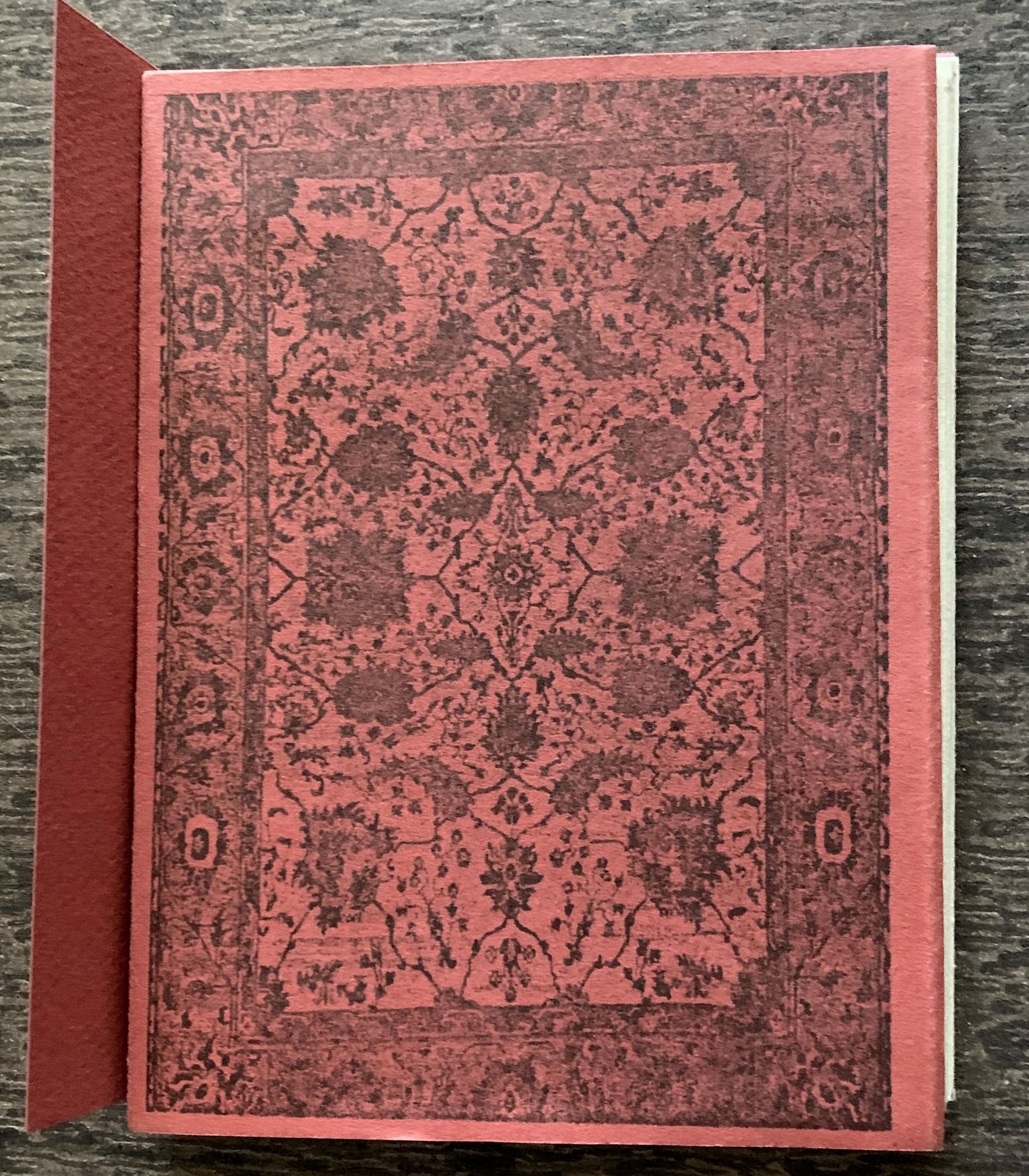Image for The Story of the Bug in the Rug.
